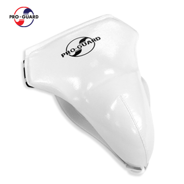 프로가드 태권도 남성 샅보대