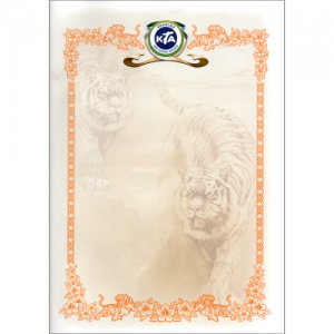 프린터용 상장 No.17 (묶음)