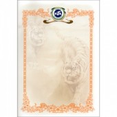 프린터용 상장 No.17 (묶음)