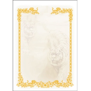 프린터용 상장 No.16 (묶음)