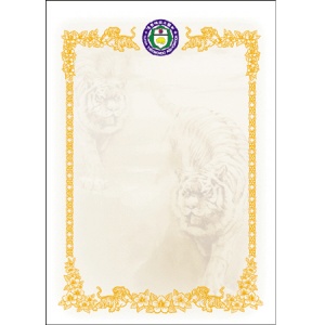 프린터용 상장 No.13 (묶음)