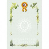 프린터용 상장 No.7 (묶음)