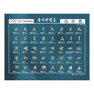 태권도 40동작 배지판