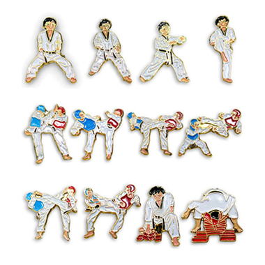 태권도 40동작 배지