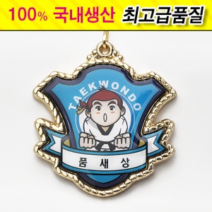 깐돌이 메달 (품새상)