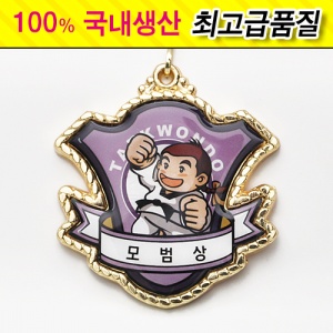 깐돌이 메달 (모범상)