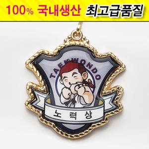 깐돌이 메달 (노력상)