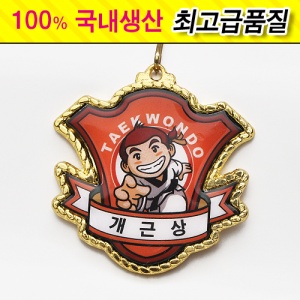 깐돌이 메달 (개근상)